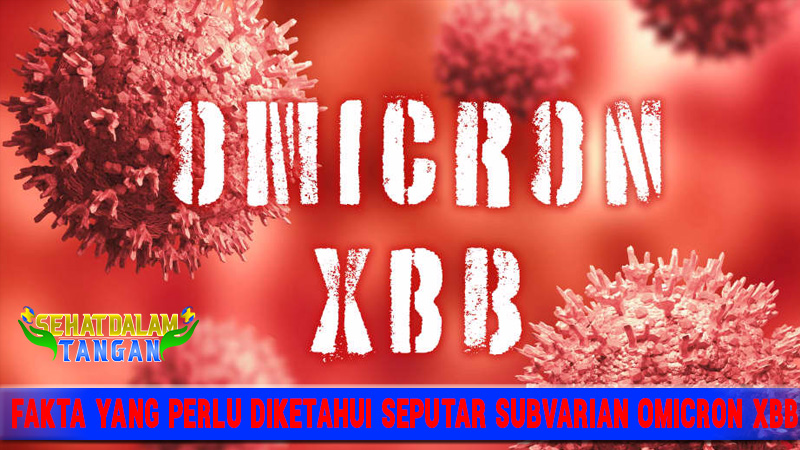 Fakta yang Perlu Diketahui Seputar Subvarian Omicron XBB