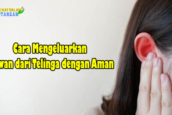 Cara Mengeluarkan Hewan dari Telinga dengan Aman