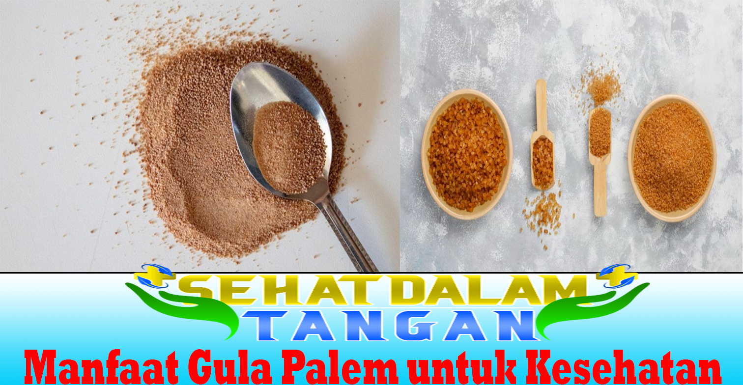 Manfaat Gula Palem untuk Kesehatan