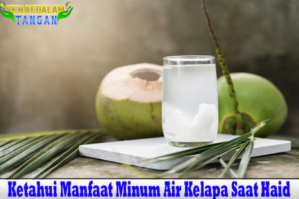 Ketahui Manfaat Minum Air Kelapa Saat Haid