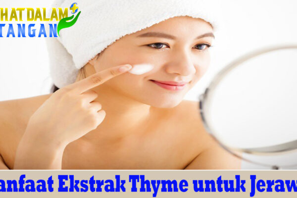 Manfaat Ekstrak Thyme untuk Jerawat