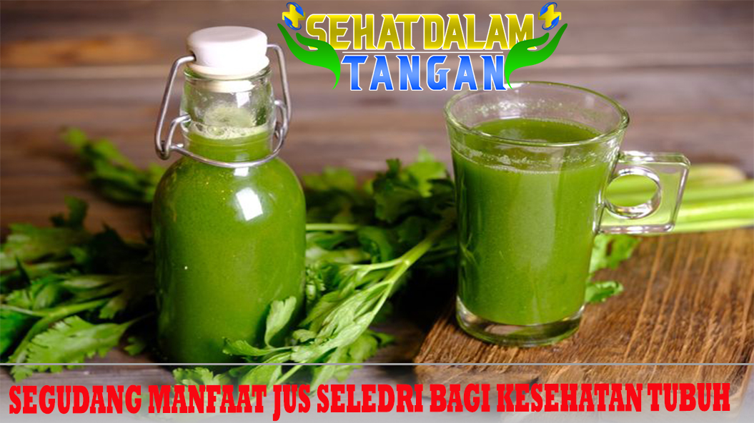 Segudang Manfaat Jus Seledri bagi Kesehatan Tubuh