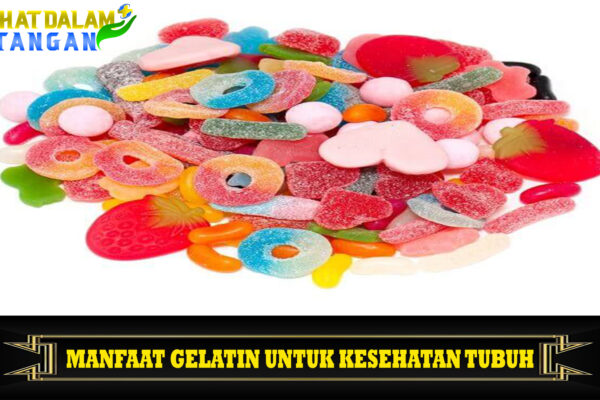 Manfaat Gelatin untuk Kesehatan Tubuh