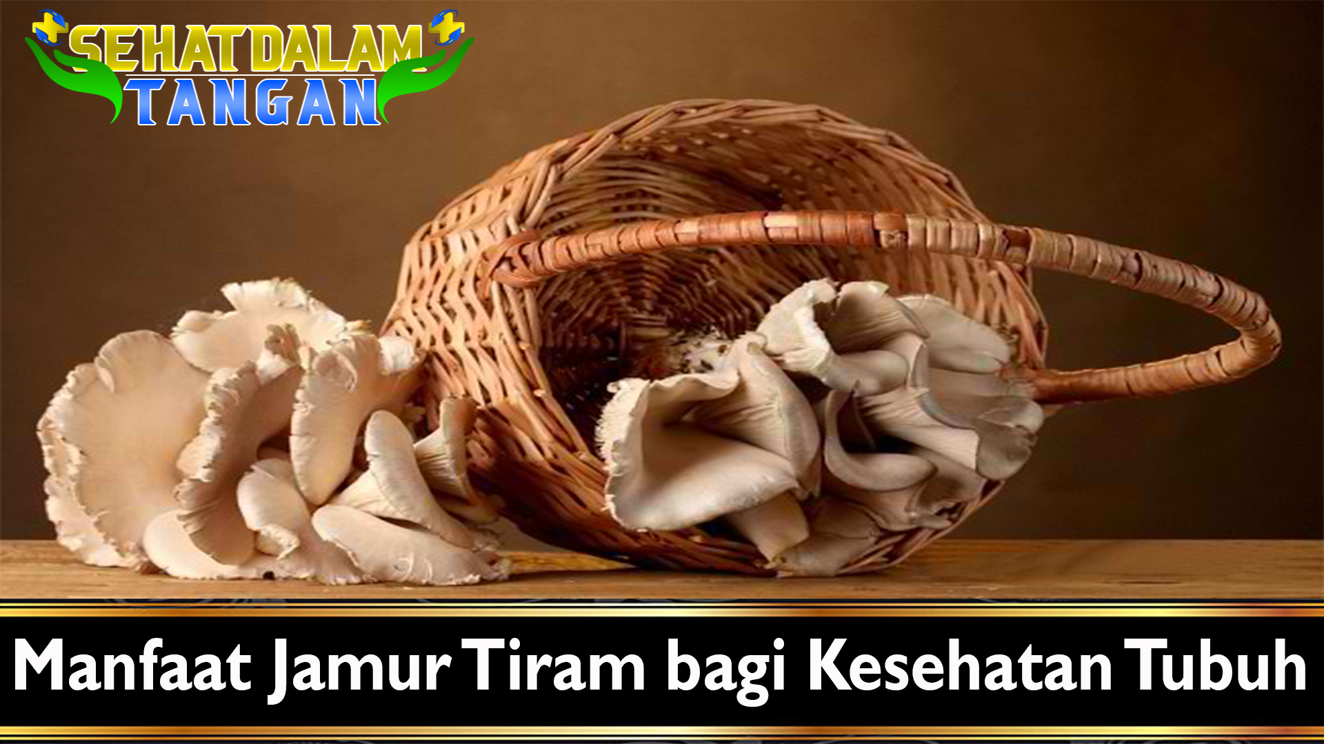 Manfaat Jamur Tiram bagi Kesehatan Tubuh
