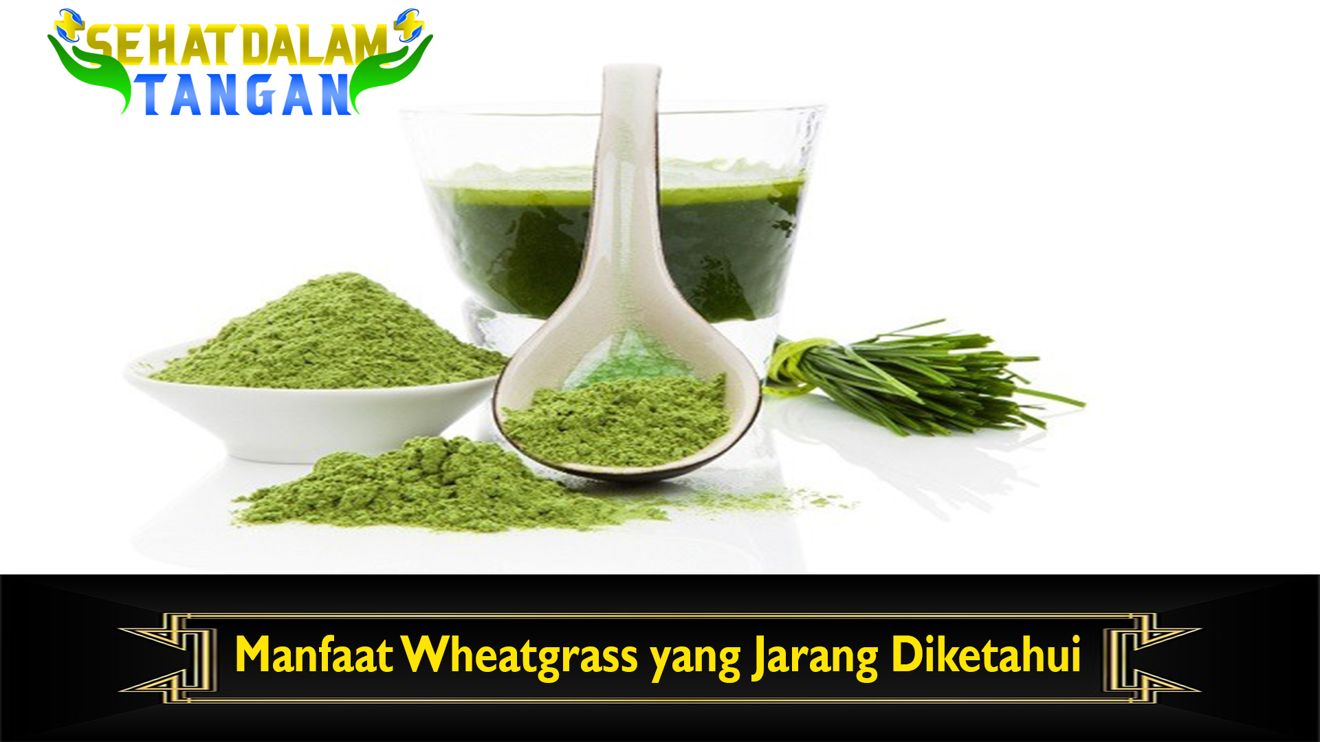 Manfaat Wheatgrass yang Jarang Diketahui