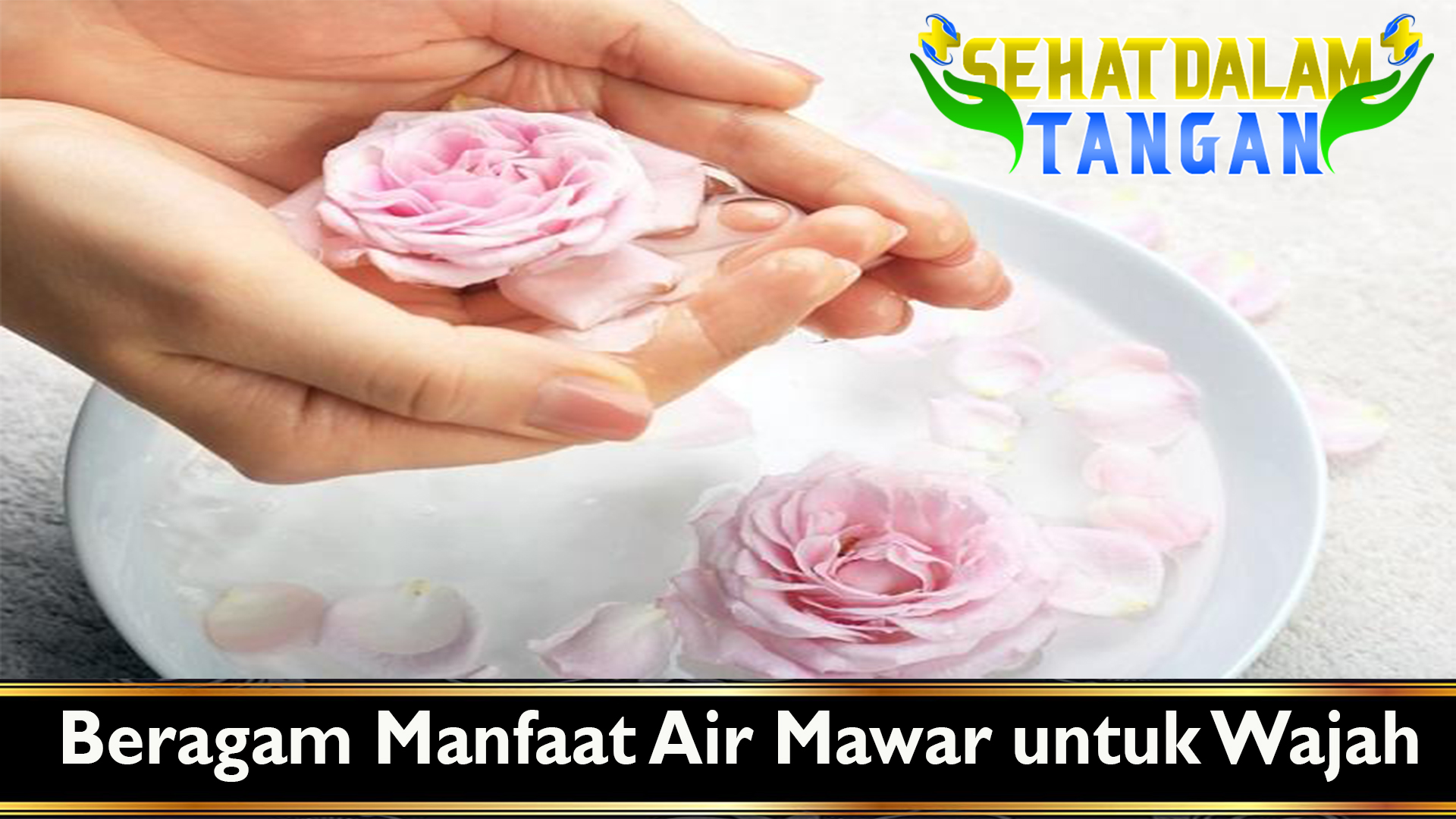 Beragam Manfaat Air Mawar untuk Wajah