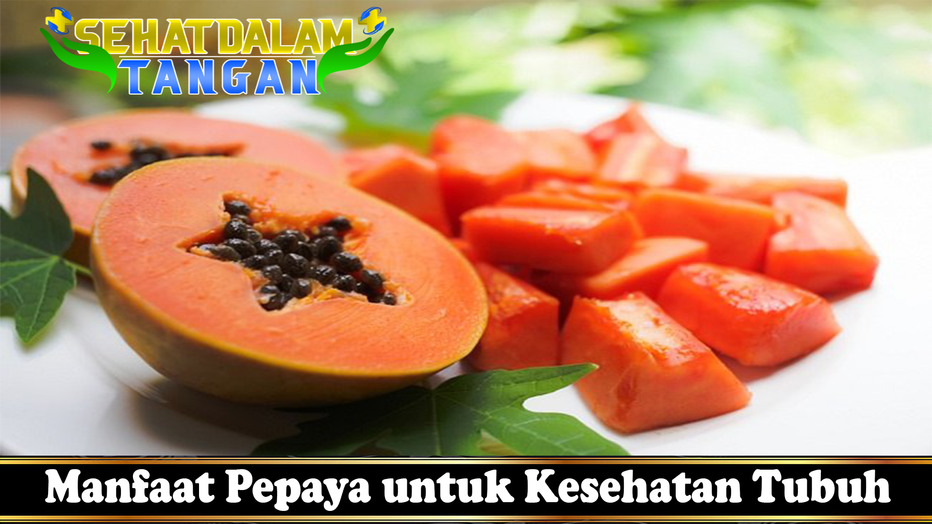 Manfaat Pepaya untuk Kesehatan Tubuh