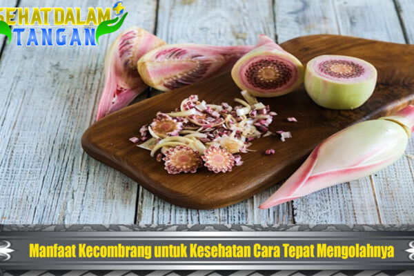 Manfaat Kecombrang untuk Kesehatan Cara Tepat Mengolahnya