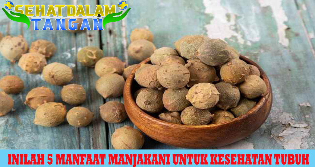 Inilah 5 Manfaat Manjakani untuk Kesehatan Tubuh