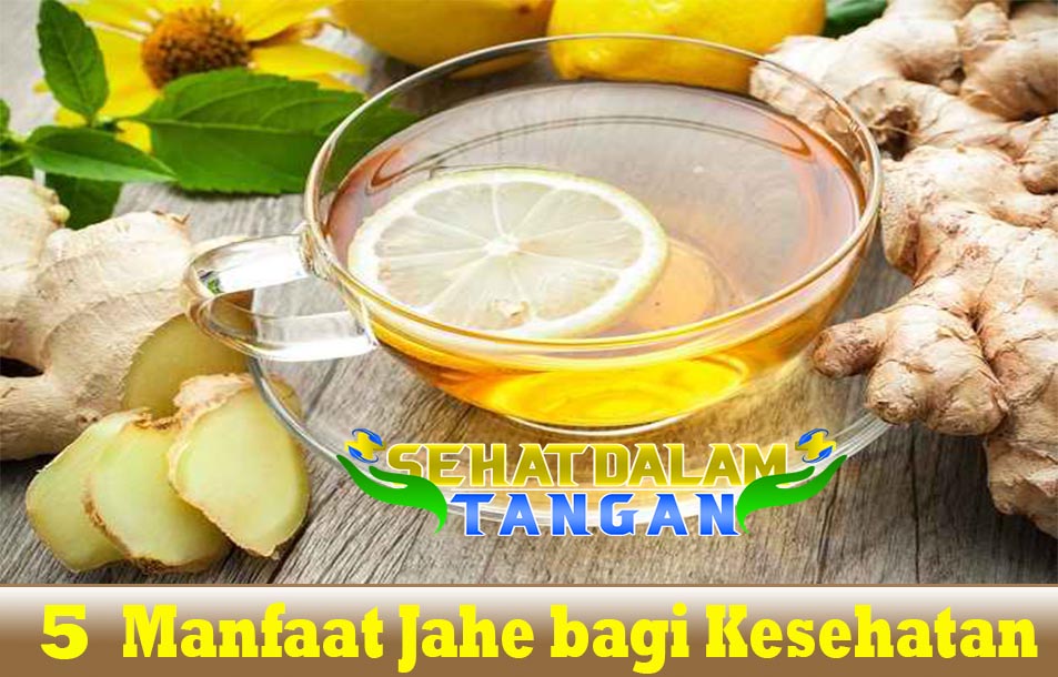 5 Manfaat Jahe bagi Kesehatan