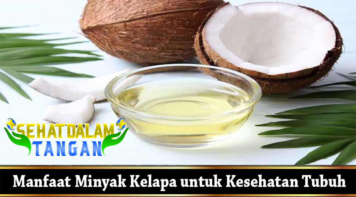 Manfaat Minyak Kelapa untuk Kesehatan Tubuh