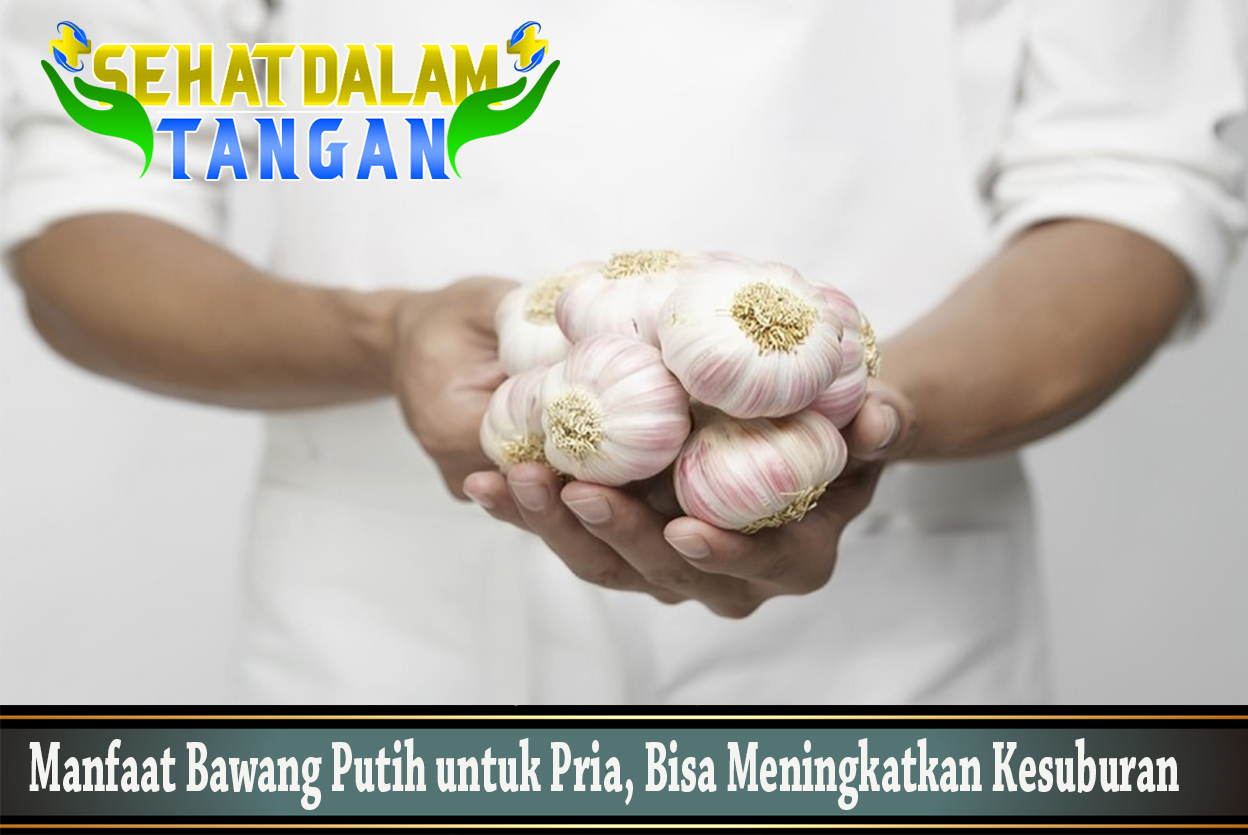 Manfaat Bawang Putih untuk Pria, Bisa Meningkatkan Kesuburan