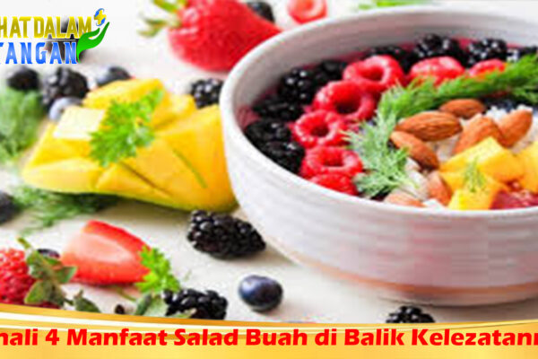 Kenali 4 Manfaat Salad Buah di Balik Kelezatannya