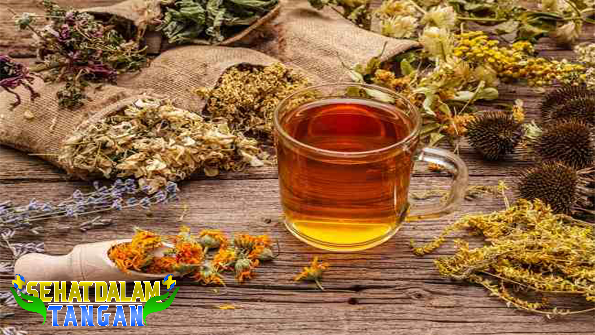Efektivitas Minuman Pembersih Paru-paru: Fakta dan Mitos