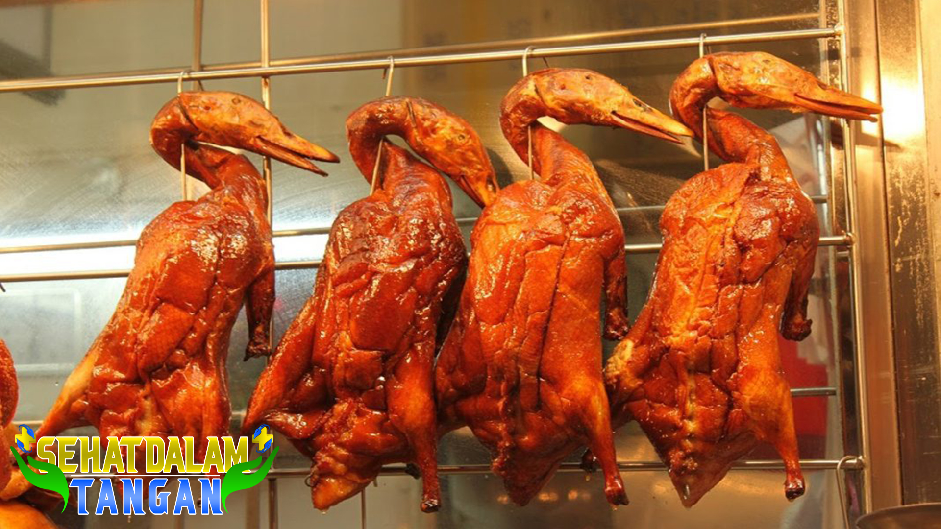 Manfaat Daging Bebek untuk Kesehatan