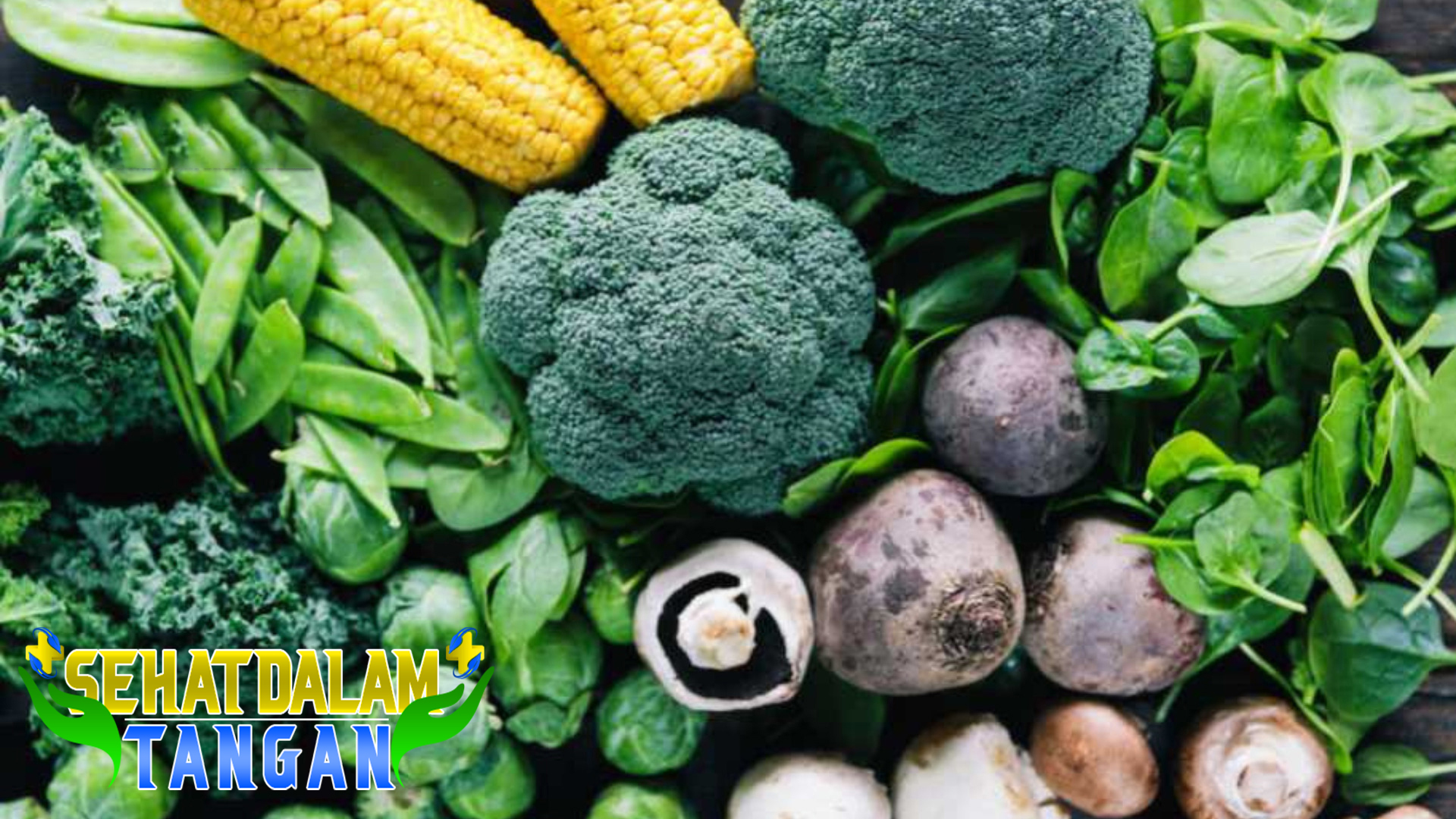 Sayuran Tinggi Protein yang Mudah Diperoleh