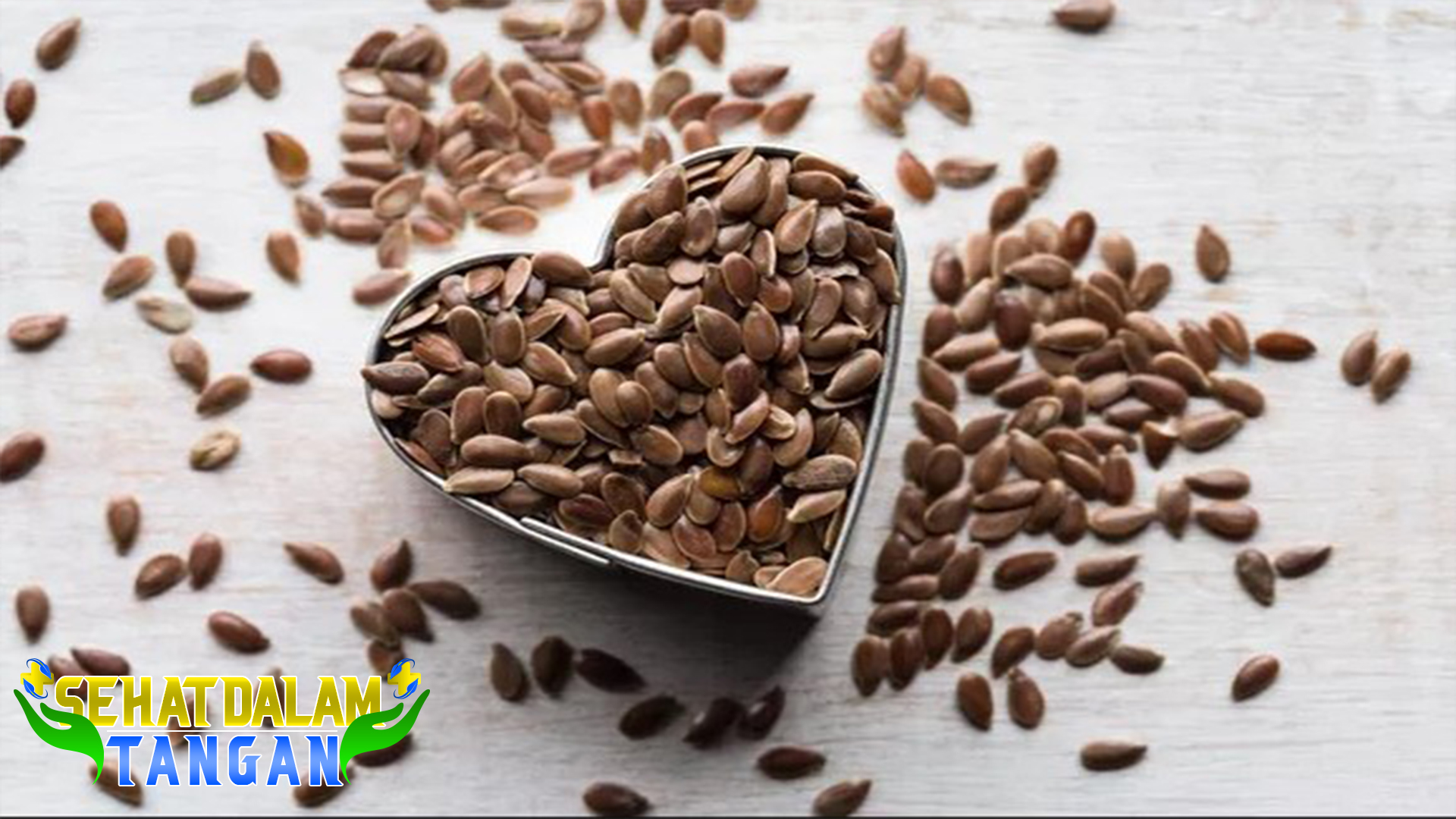 Flaxseed, Biji Kaya Serat dengan Sederet Manfaat