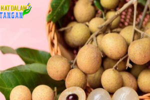 Inilah 4 Manfaat Buah Kelengkeng bagi Kesehatan