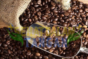 Kopi Hitam, Hidup Cerah: Fakta Kesehatan di Balik Minuman Favorit Dunia