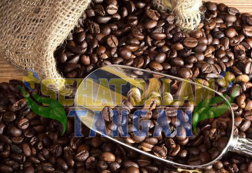 Kopi Hitam, Hidup Cerah: Fakta Kesehatan di Balik Minuman Favorit Dunia