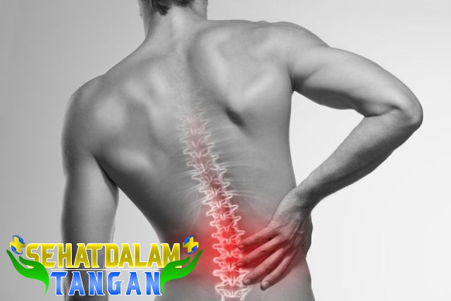 Menjaga Kepadatan Tulang di Masa Tua